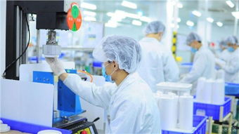 嘉定區危廢處置合同技術服務 專業、安全、高效——歡迎咨詢錦梅供應信息技術咨詢服務