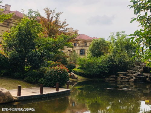 今日熱盤推薦 樓盤詳情與信息技術咨詢全解析